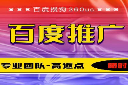 百度搜索引擎优化推广：成功案例揭秘